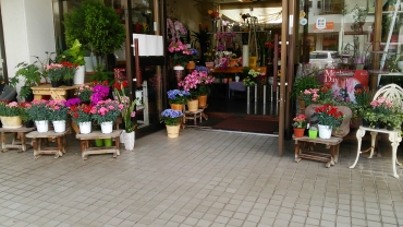 「花の店クック」　（沖縄県那覇市）の花屋店舗写真1